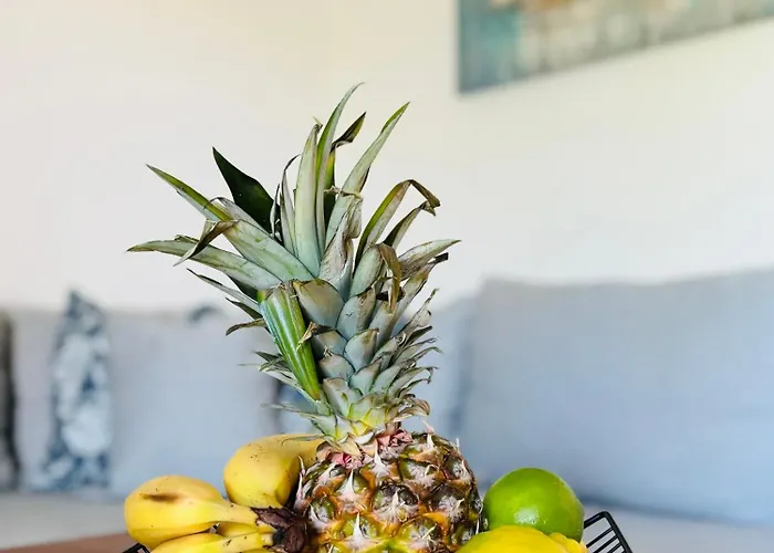 Solis Vakantiehuis Brseč