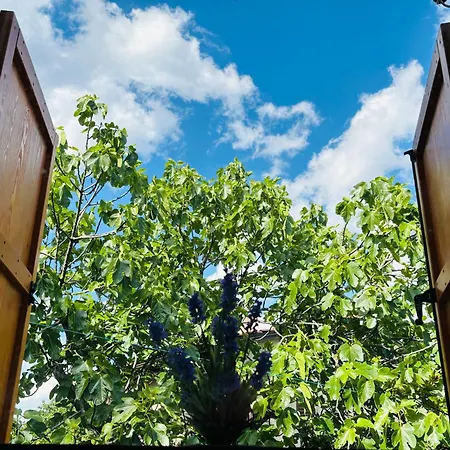 Vakantiehuis Solis Brseč