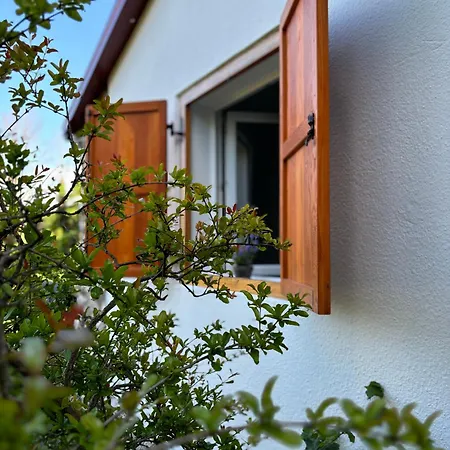 Solis Holiday home Brsec